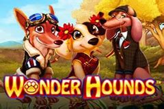 Wonderhounds Bodog